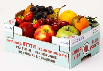 ATTIVO-pack frutta
