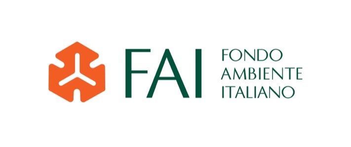 Logo FAI