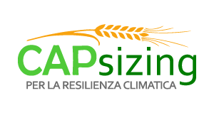 CAPsizing