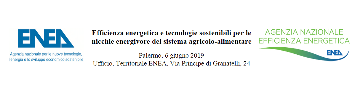 Convegno ENEA Palermo