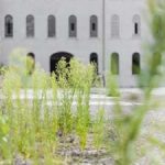 SPAZIO FaSE_PIAZZA GRANDE