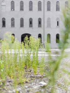 SPAZIO FaSE_PIAZZA GRANDE