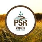 PSR Veneto
