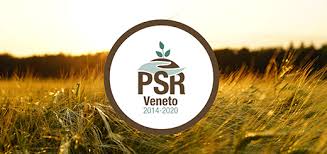 PSR Veneto