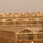 Serre-Fotovoltaiche