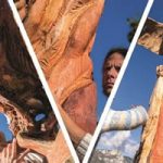 inaugurazione-trittico-vaia