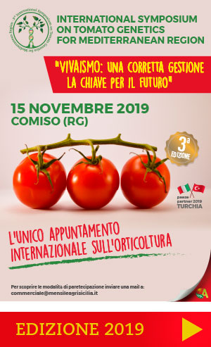 International symposium2019 Comiso