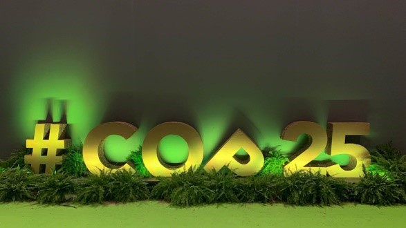 Cop25