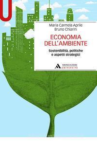 economia ambiente