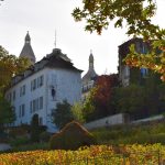 foto2