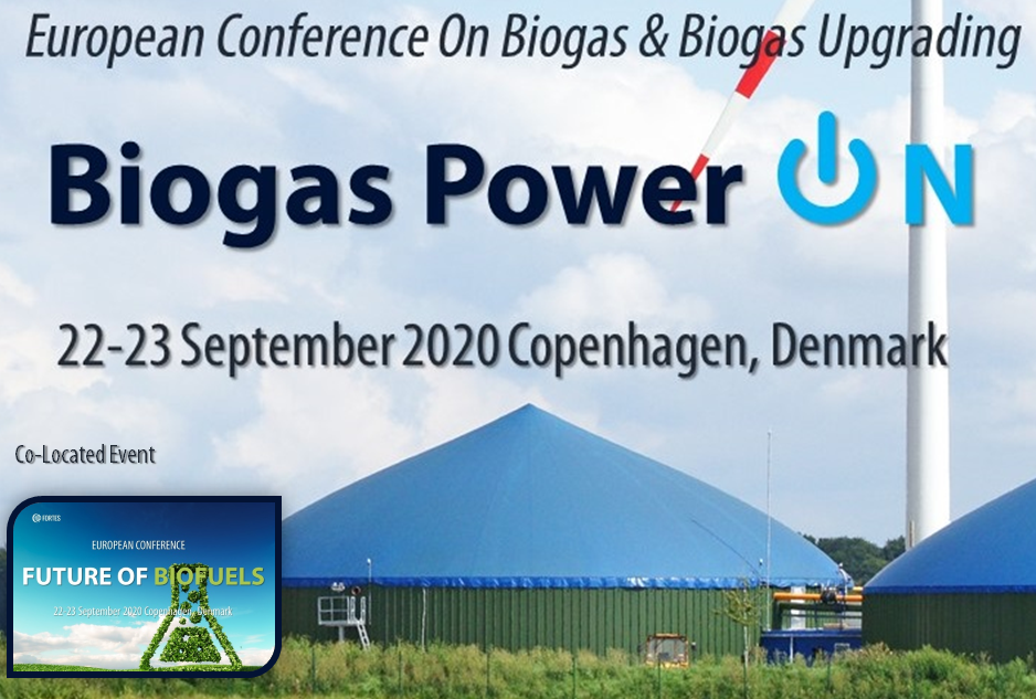 unnamedbiogas power on 2020