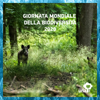 Una-giornata mondiale della biodiversità