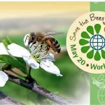 giornata mondiale api