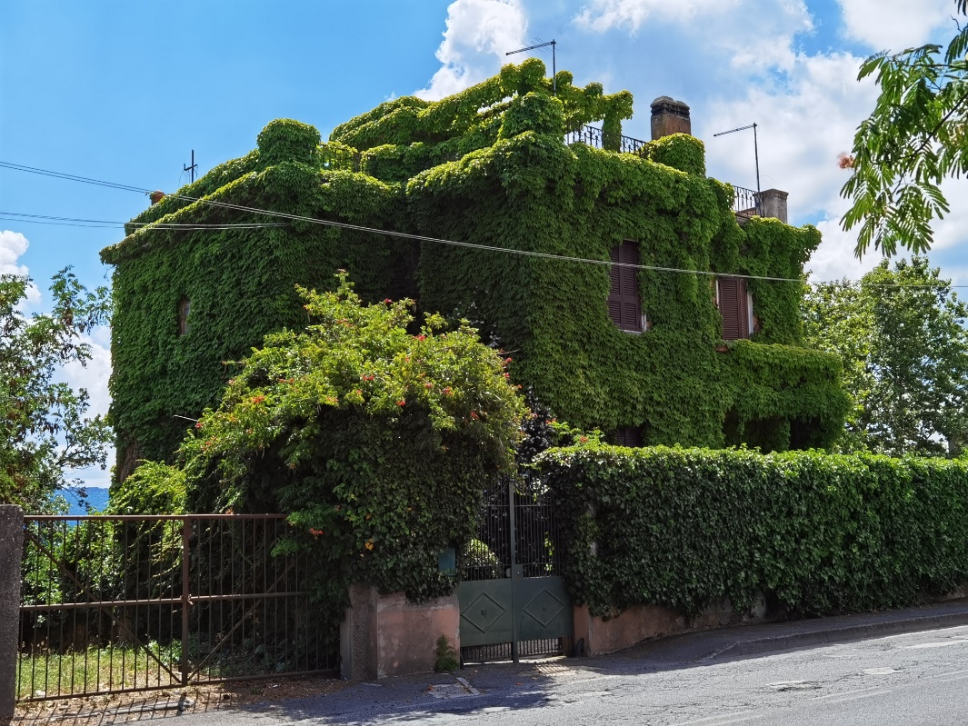 casa verde