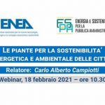 Webinar Campiotti Enea