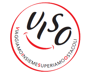 viso_small_white