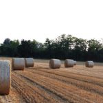 Agricoltura circolare - agroenergie