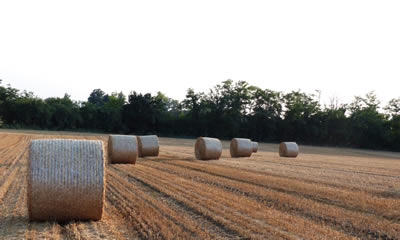 Agricoltura circolare - agroenergie