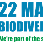 idb-2021-logo-en-web