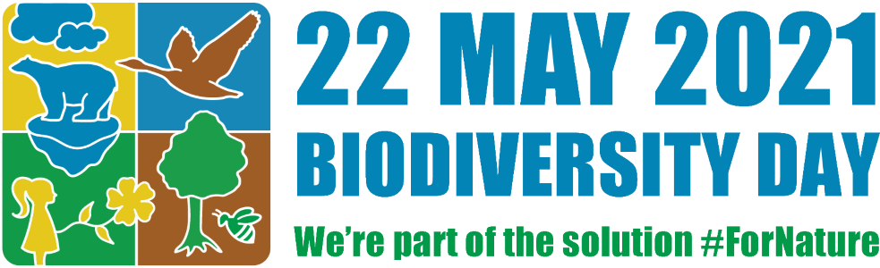 idb-2021-logo-en-web