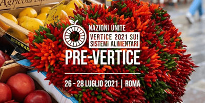 Pre vertice Onu luglio 2021