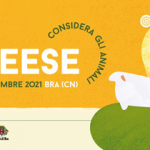 cheese 2021