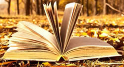 libro aperto e terra