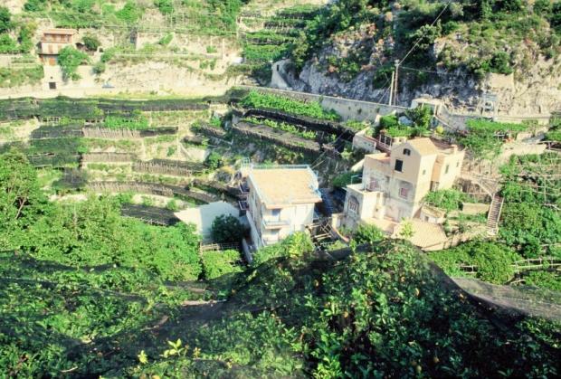 terrazzamenti_0
