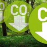 CO2-Bosco