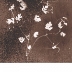Abbandoni_fond