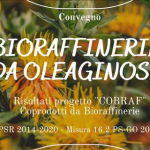 Bioraffinerie da oleiginose