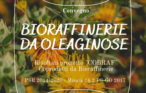 Bioraffinerie da oleiginose