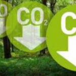 CO2-Bosco Fazioli