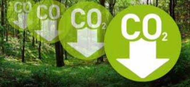 CO2-Bosco Fazioli