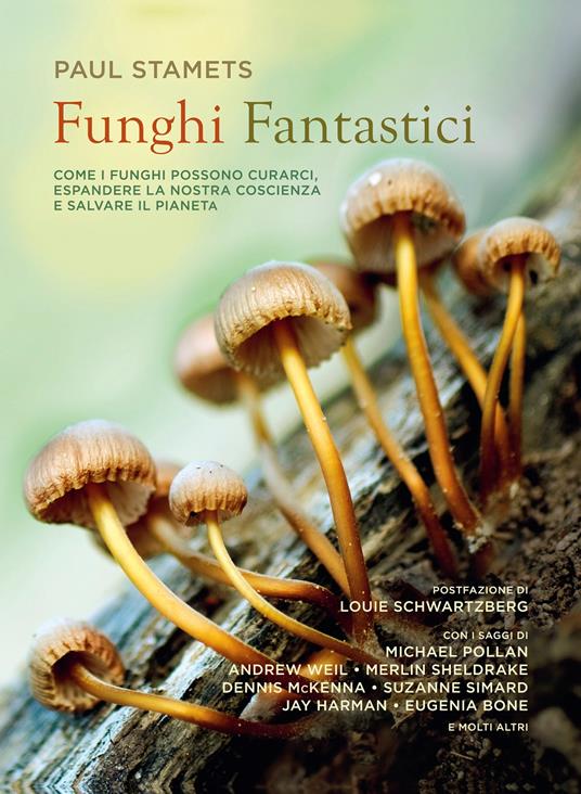 funghi fantastici
