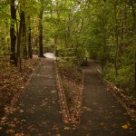 Natur Park Schöneberger Südgelände ph Marco Zanin