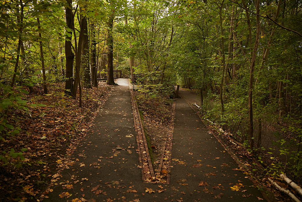 Natur Park Schöneberger Südgelände ph Marco Zanin