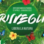 risvegli - orto botanico 2022