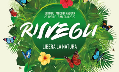 risvegli - orto botanico 2022