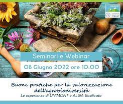 buone pratiche