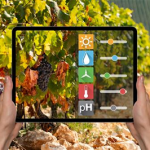 le sfide dell'agricoltura