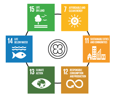 SDG “Sustainable Development Goals”