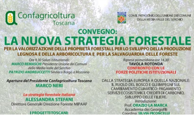 ls nuova strategia forestale 2022