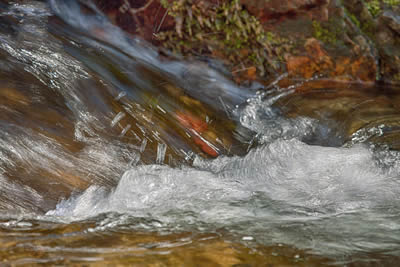 foto Raffaele Marini