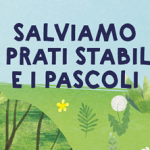 gioco slow food
